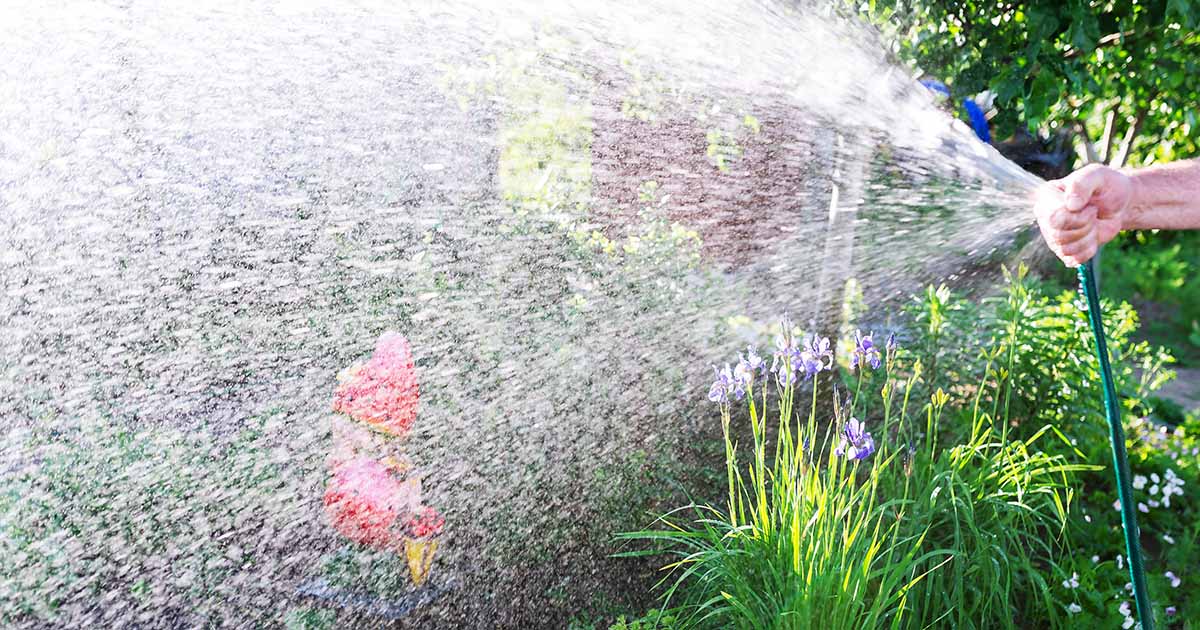 7 of the Best Garden Hoses for 2024