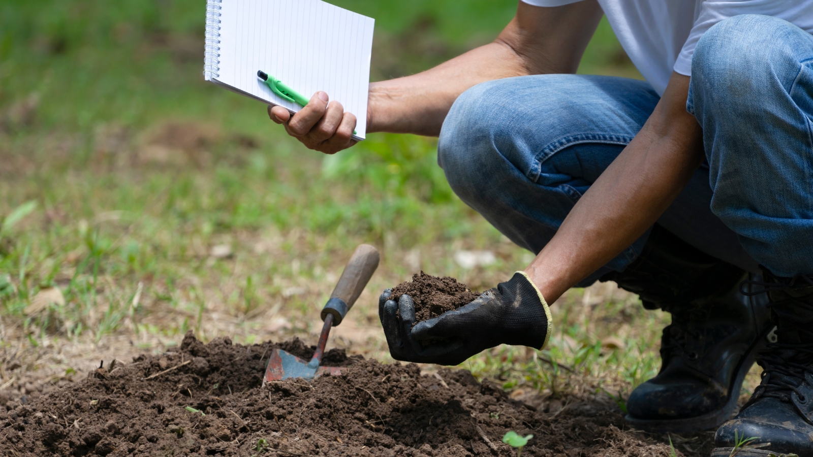 13 Fall Soil Improvements You Can Apply Now