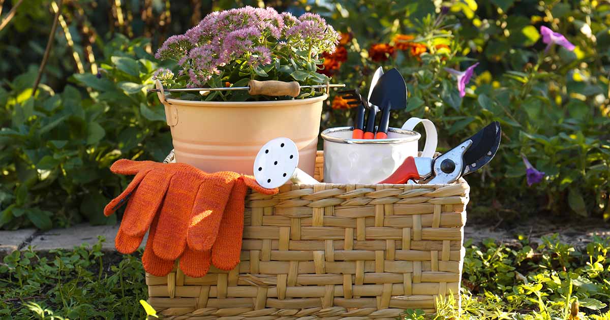 13 Must-Have Tools for Gardeners