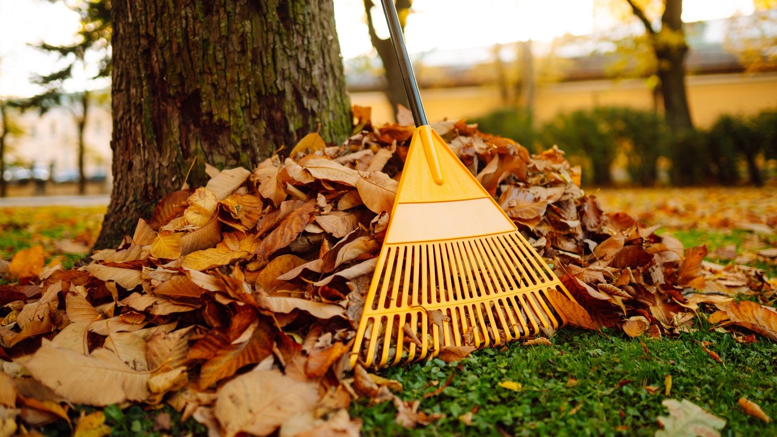 Do Fall Leaves Make Good Compost?