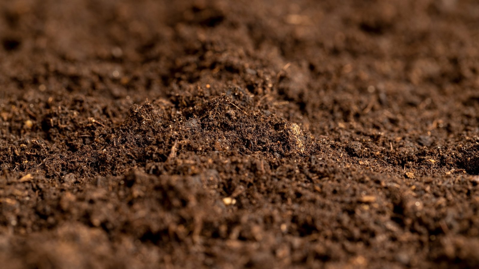 What is Well-Drained Soil? How to Assess Soil Drainage