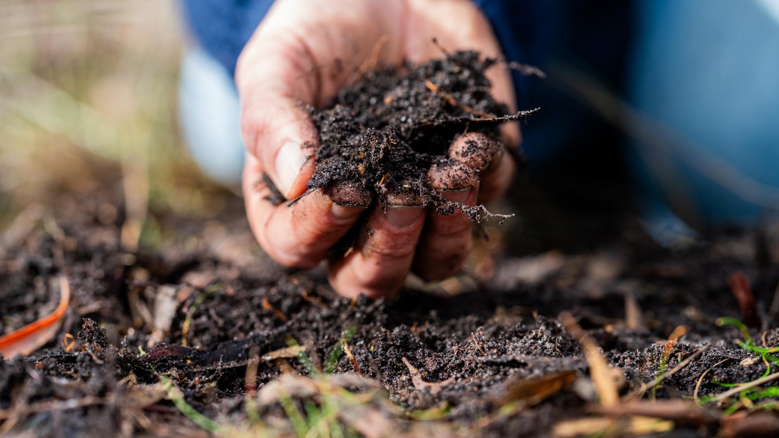 How Fast Does Compost Turn Into Soil?