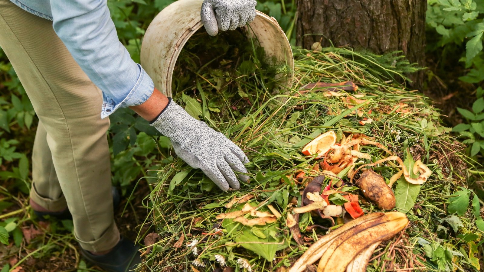 Keep These 9 Things out of Your Compost Pile