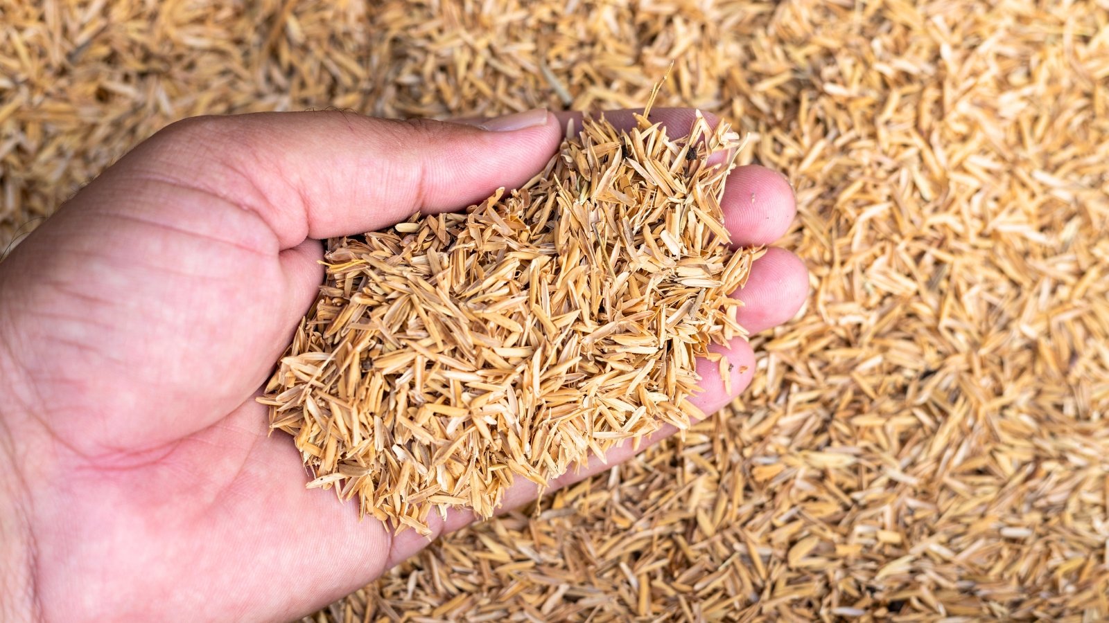 How and Why to Use Rice Hulls in the Garden